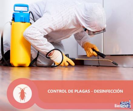 Control Integral de Plagas en Córdoba - BIEN VERDE