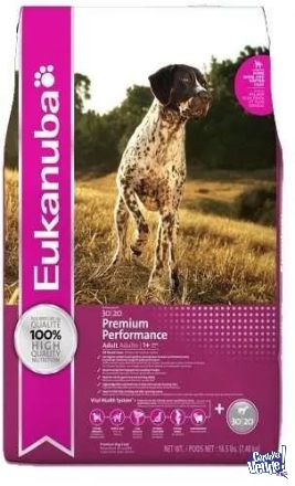 Eukanuba Premium performance adultos x 15kg $42510