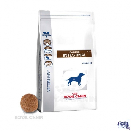 ROYAL CANIN GASTRO INTESTINAL DOG X 10KG