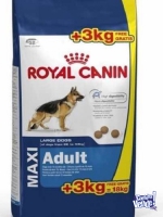 Royal Canin. Maxi adulto x 18 kgrs