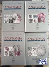 Anatomia Coleccion Rouviere 11va Edicion