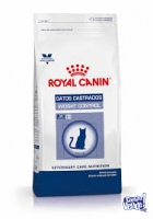 Royal Canin weight control gatos castrados x 12 kgrs
