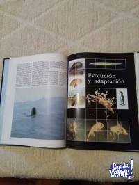 Colección Completa Jacques Cousteau Enciclopedia del Mar