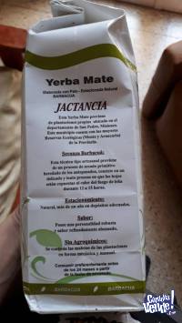 Yerba Jactancia