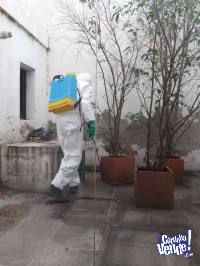 desinfecciones - Control de plagas urbanas