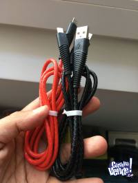 USB TIPO C 2 X 350 PESOS