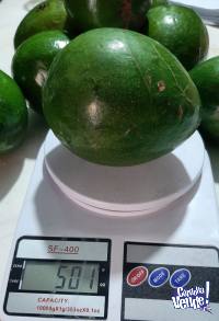 Palta