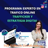 Programa Experto en Trafficker y Estrategia digital