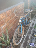 Bicicleta Playera 