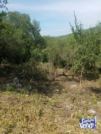 LOTE SIERRA NUEVA MEDIOLAZA