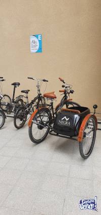 Bicicleta Estilo Antigua Con Sidecar Eléctrica