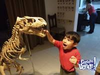 Permuto Dinosaurio Gigante 1,40 mts alto x 2,00 mts largo
