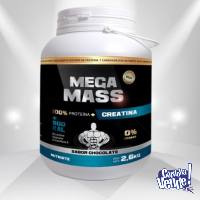 Proteínas Mega Mass Ideal para Gym