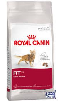 Royal Canin Fit 32 x 15kg+VINO DE REGALO