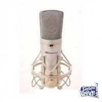Microfono Condenser BV97 HUGEL de Parquer Con Funda Y Araña