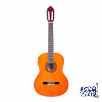 Guitarra Criolla Valencia Vc103 + Funda Ritter RGP2