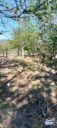 TERRENO EN SANTA ROSA DE CALAMUCHITA