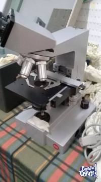 Microscopio Leitz Wetzlar Sm Lux Germany