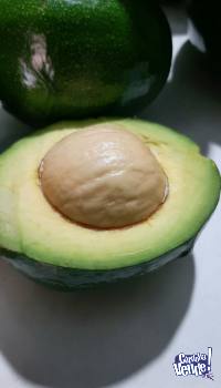 Palta