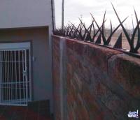 Pinches de Seguridad para Muros y Rejas-Los mas Grandes