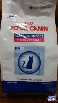 ROYAL CANIN GATOS CASTRADOS YOUNG FEMALE 3.5KG