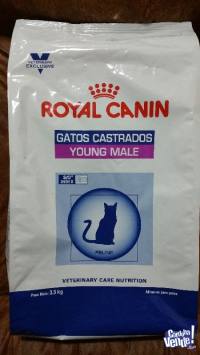 ROYAL CANIN GATOS CASTRADOS YOUNG MALE 3.5KG